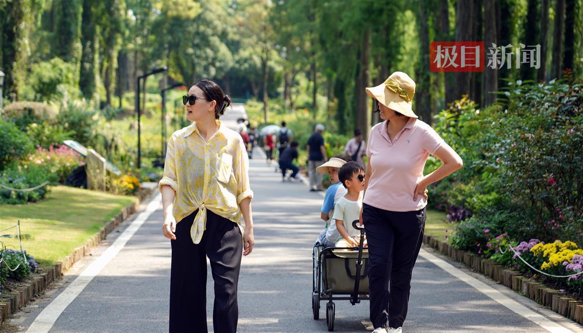 永利取款风控审核